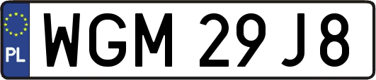 WGM29J8