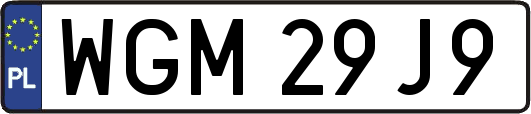 WGM29J9