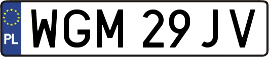 WGM29JV