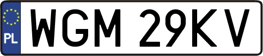 WGM29KV