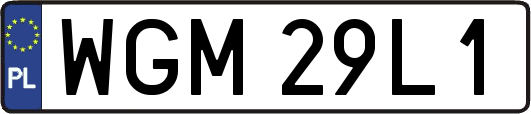 WGM29L1