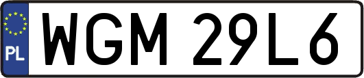 WGM29L6