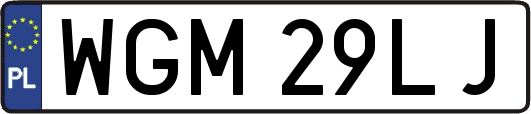 WGM29LJ