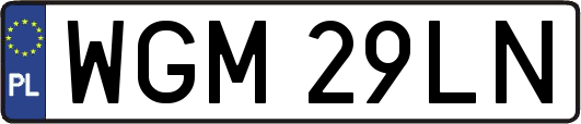 WGM29LN