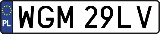 WGM29LV
