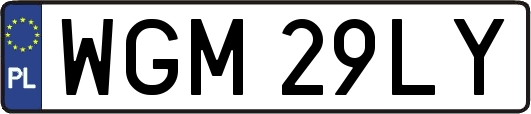 WGM29LY