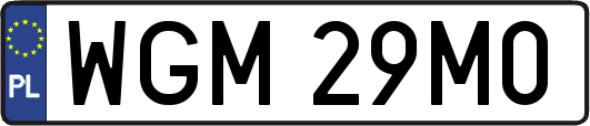WGM29M0