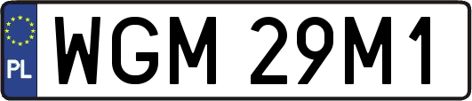 WGM29M1