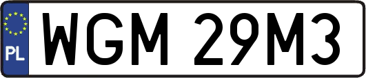 WGM29M3
