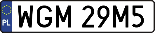 WGM29M5