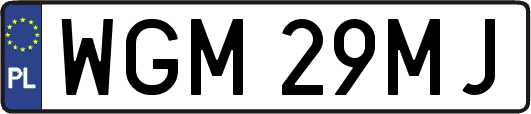 WGM29MJ