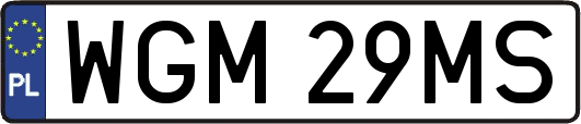 WGM29MS