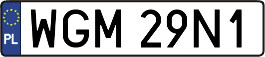 WGM29N1