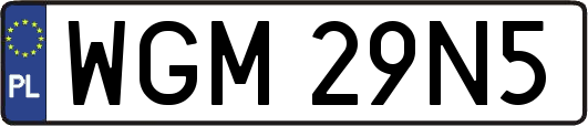 WGM29N5