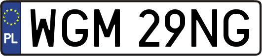 WGM29NG