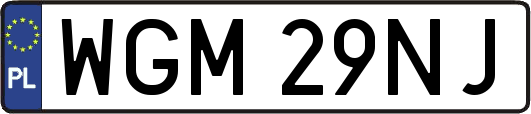 WGM29NJ