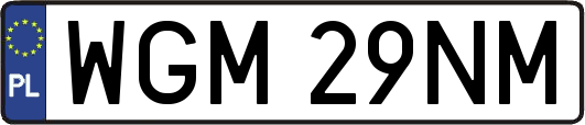 WGM29NM