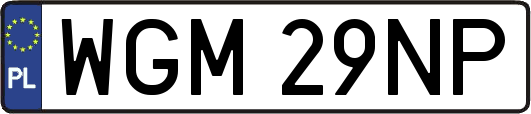 WGM29NP