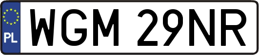 WGM29NR