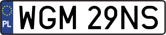 WGM29NS