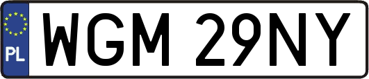 WGM29NY