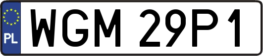 WGM29P1