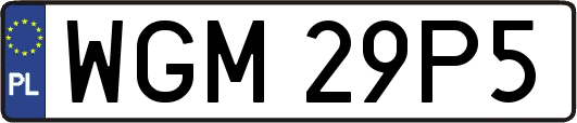 WGM29P5