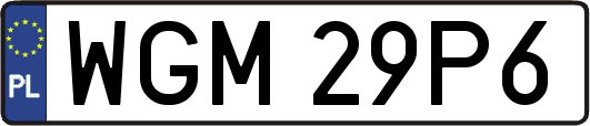 WGM29P6