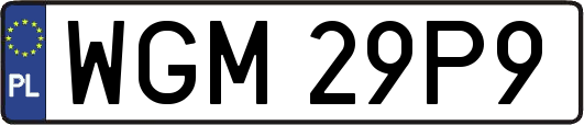 WGM29P9