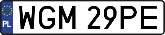 WGM29PE