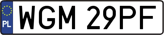 WGM29PF