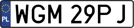 WGM29PJ