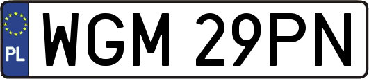 WGM29PN