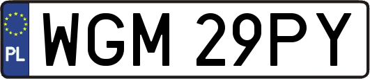 WGM29PY