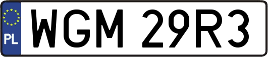 WGM29R3