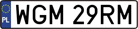 WGM29RM