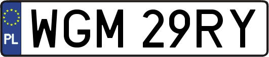 WGM29RY