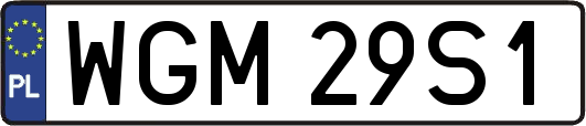WGM29S1