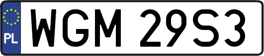 WGM29S3