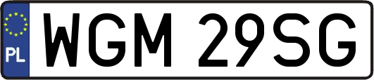 WGM29SG