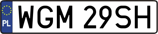 WGM29SH