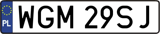 WGM29SJ