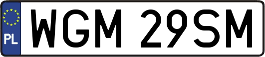 WGM29SM
