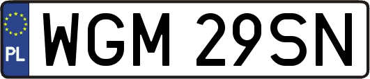 WGM29SN