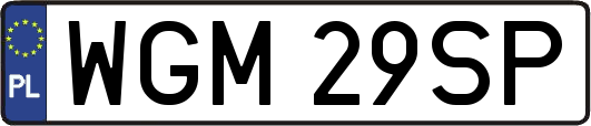 WGM29SP