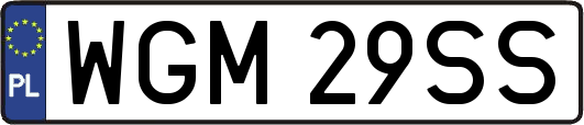WGM29SS
