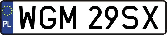 WGM29SX