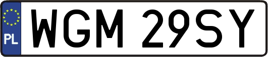 WGM29SY