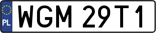 WGM29T1