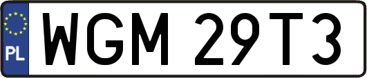 WGM29T3
